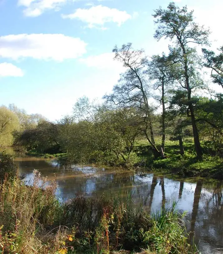 An image of Ingleby Hill Farm